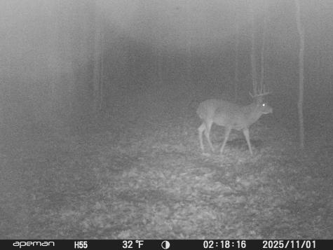 0000 West Eckel Lane Exeland WI 54835