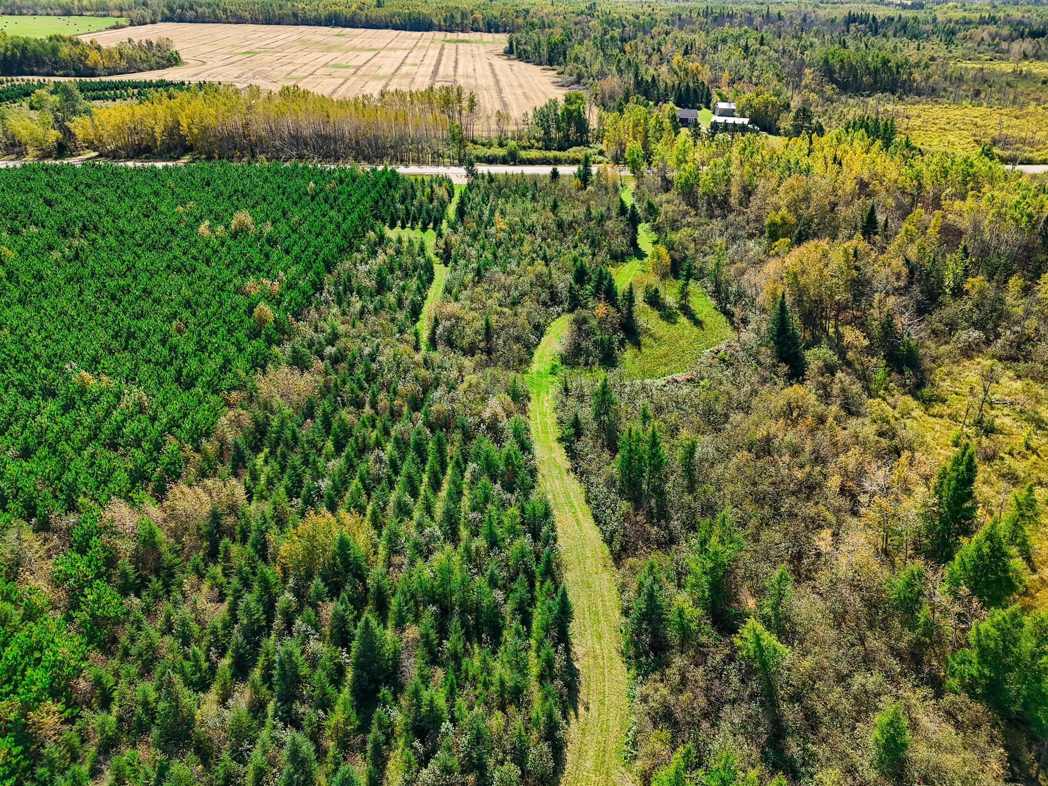 Becida Lot #1 Tbd Co 9, Becida, MN 56678 | 6798063 | CENTURY 21 Atwood