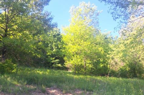 44412 Dakota Valley Drive Dakota MN 55925