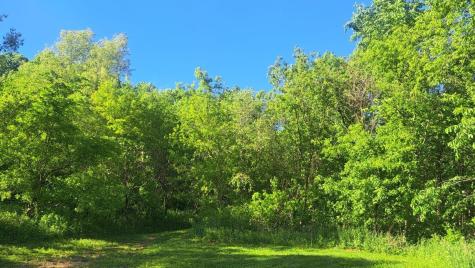 44412 Dakota Valley Drive Dakota MN 55925