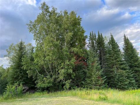 25930 Mn 200 Itasca Twp MN 56676