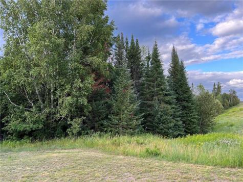 25930 Mn 200 Itasca Twp MN 56676