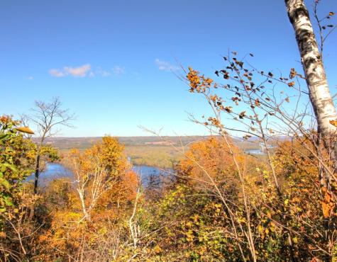Lot 17 215th Avenue Wabasha MN 55981
