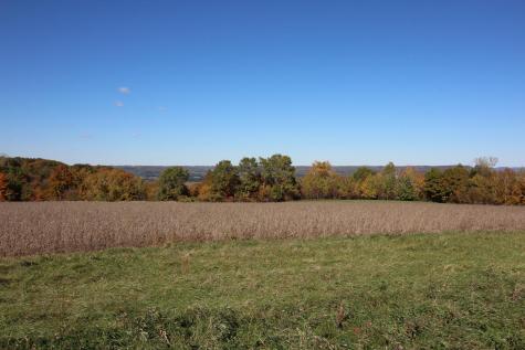 Lot 17 215th Avenue Wabasha MN 55981