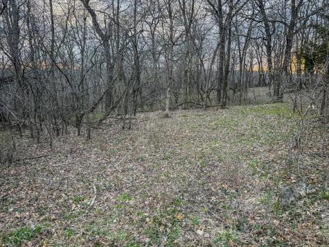 Tbd (Parcel 3) White Bridge Road NE Rochester MN 55906