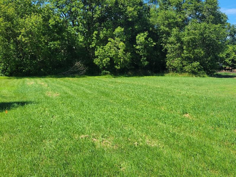Tbd Cedar Street Easton MN 56025