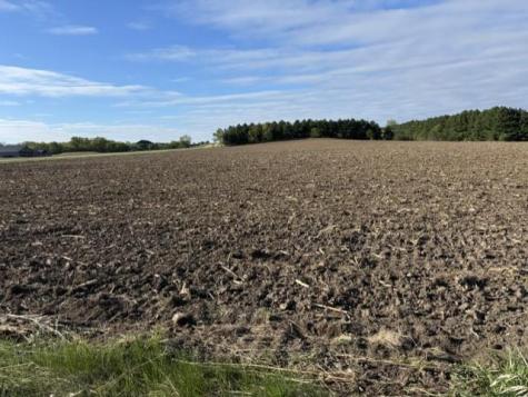 Tbd Pine Bluff (site 15) Road NW Pine Island MN 55963