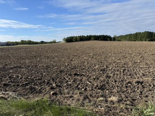 Tbd Pine Bluff (site 15) Road NW Pine Island MN 55963