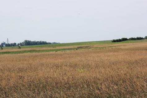 Tbd 60th Street Blue Earth MN 56013