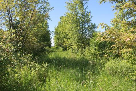 Tbd 60th Street Blue Earth MN 56013