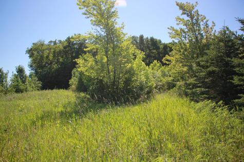 Tbd 60th Street Blue Earth MN 56013