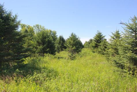 Tbd 60th Street Blue Earth MN 56013