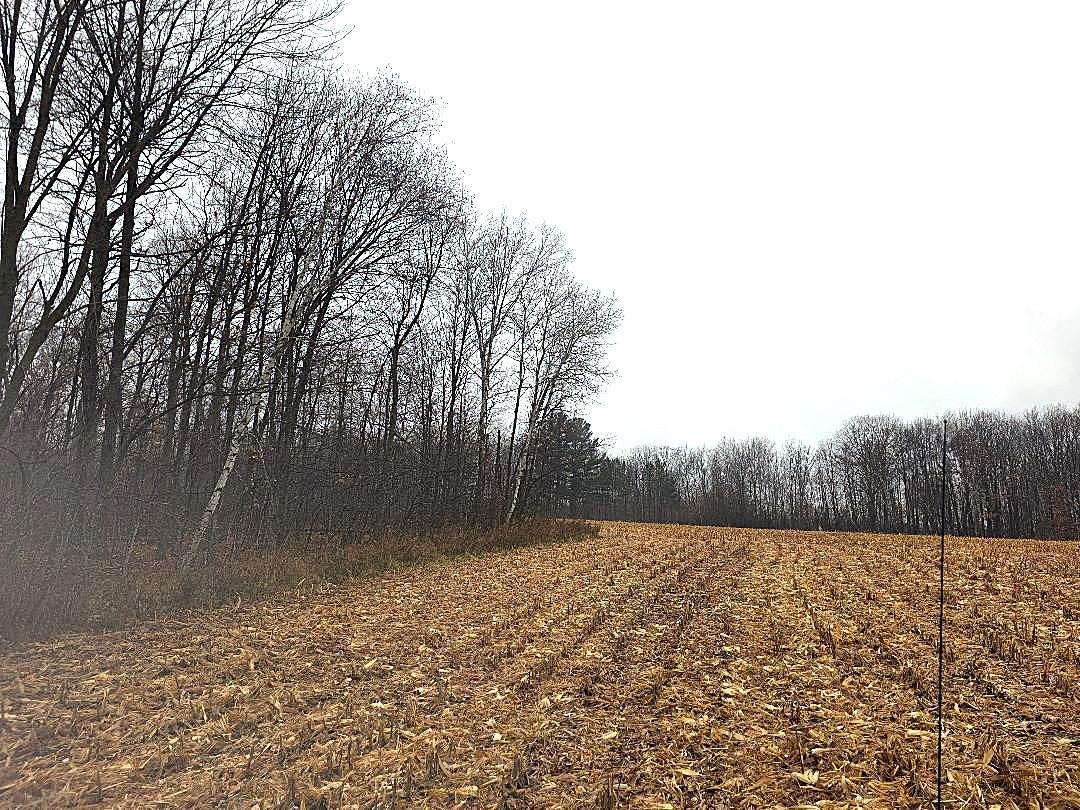 1141 12th Avenue Barron WI 54812
