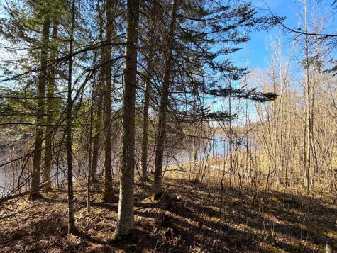 Lot E County Road 79 Littlefork MN 56653