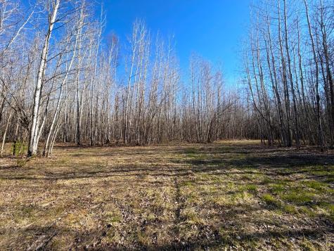Lot E County Road 79 Littlefork MN 56653