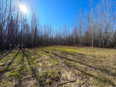 Lot E County Road 79 Littlefork MN 56653