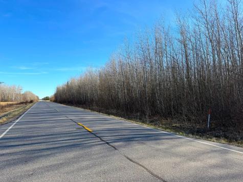 Lot E County Road 79 Littlefork MN 56653