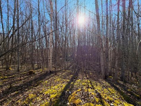 Lot E County Road 79 Littlefork MN 56653