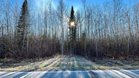 Lot E County Road 79 Littlefork MN 56653