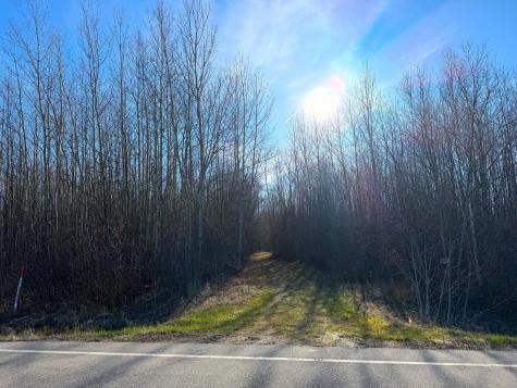 Lot E County Road 79 Littlefork MN 56653