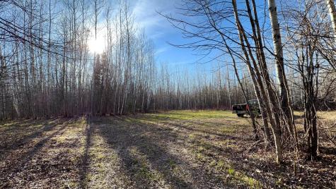 Lot E County Road 79 Littlefork MN 56653