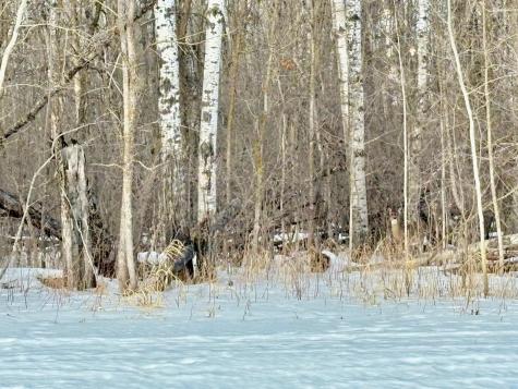 Tbd Minnesota Ave NE Warroad MN 56763