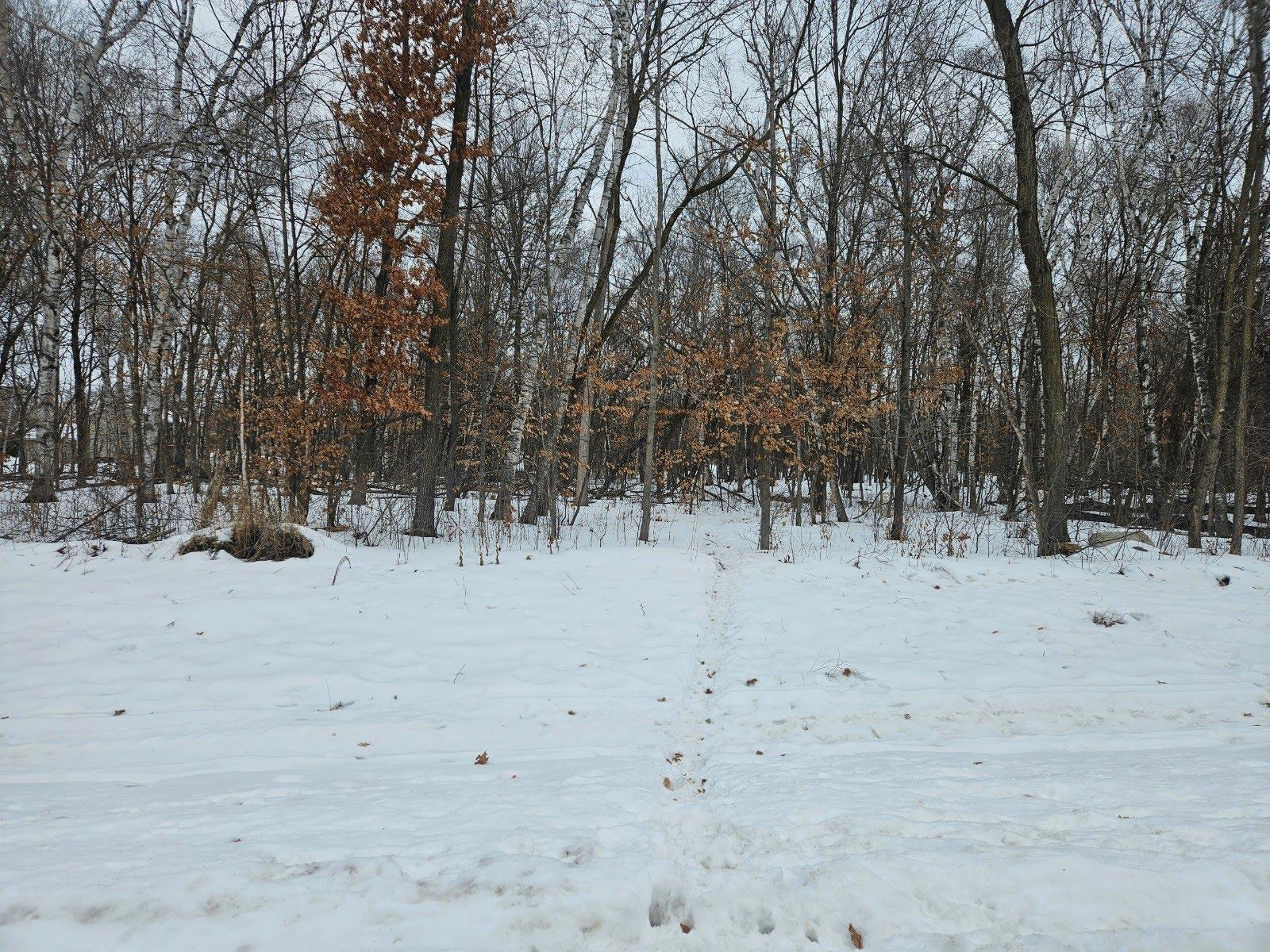 Lot 1, Block 2 2 1/2 Avenue NE Saint Stephen MN 56375