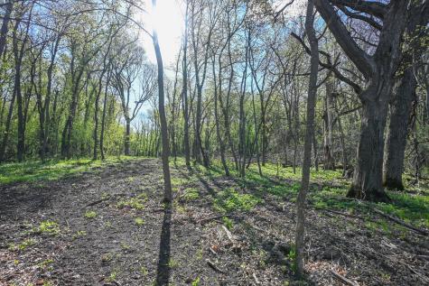 11115 350th Avenue Farwell MN 56327