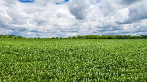 Tbd Mn Highway 30 Blooming Prairie MN 55917