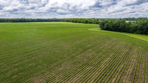 Tbd Mn Highway 30 Blooming Prairie MN 55917