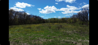 140TH Av 140th Avenue Foreston MN 56330