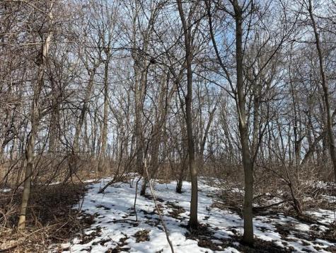 Tbd Ottertail Point Drive NW Cass Lake MN 56633