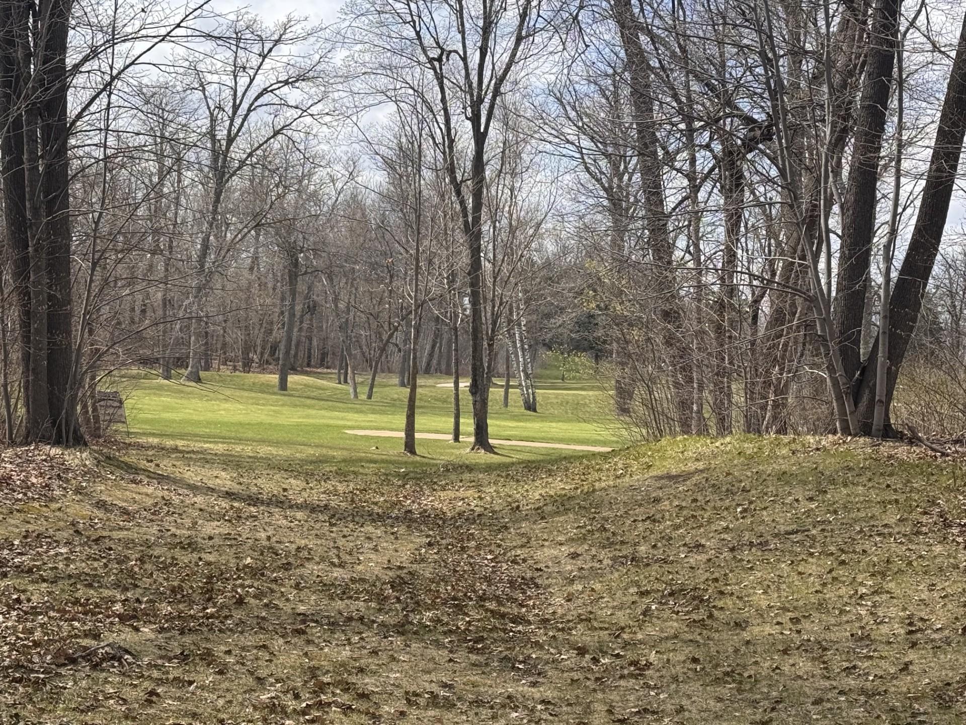 Tbd Parview Lane NE Alexandria MN 56308