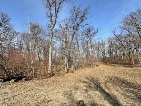 Tbd Parview Lane NE Alexandria MN 56308