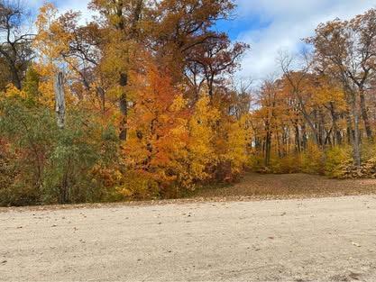 Tbd Parview Lane NE Alexandria MN 56308