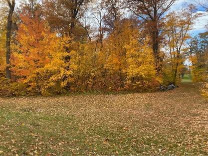 Tbd Parview Lane NE Alexandria MN 56308