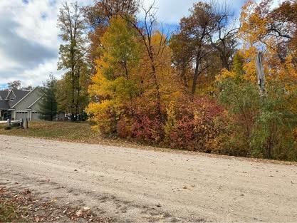Tbd Parview Lane NE Alexandria MN 56308