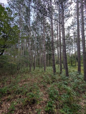 21645 Joplin Street NW Elk River MN 55330