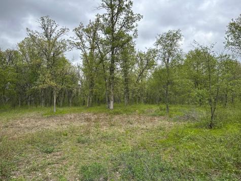 Tbd 301st Avenue NW Princeton MN 55371