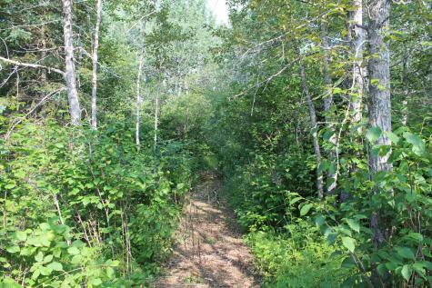Lot 1 E Camp Amnicon Road Superior WI 54874