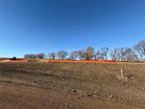 Lot 8, Block 1 Alivia's Avenue Pelican Rapids MN 56572