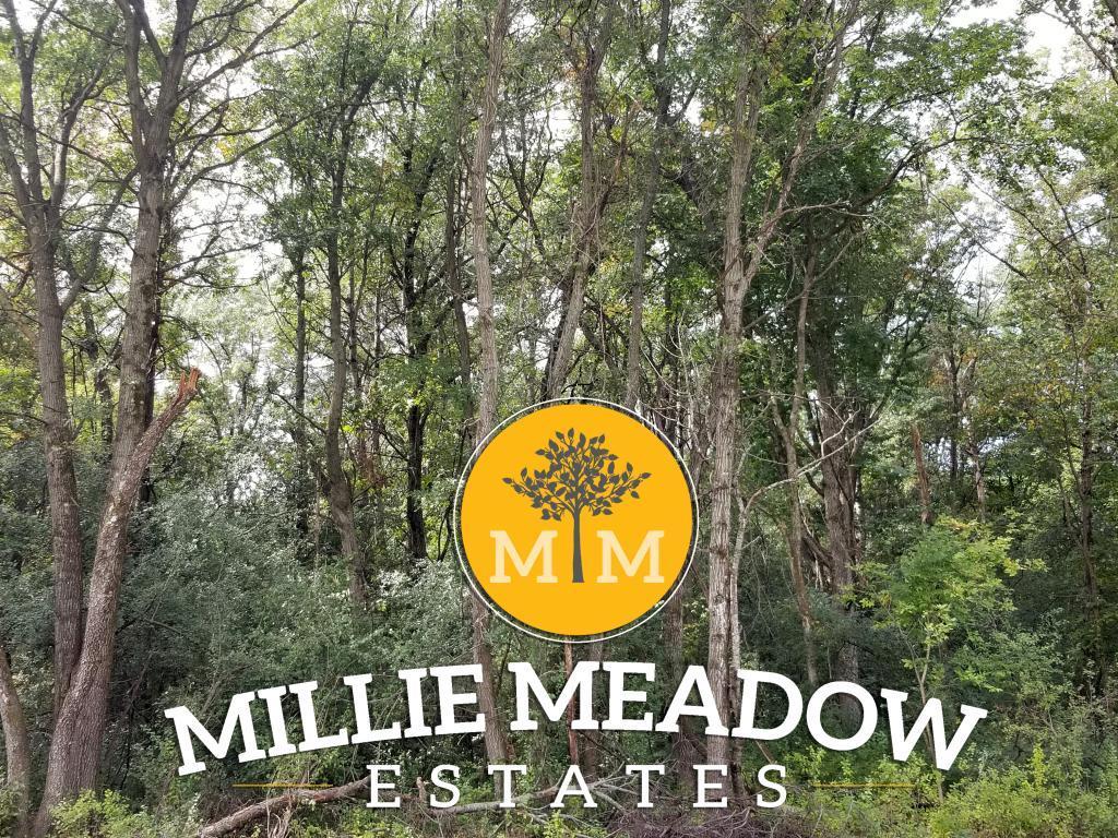 4009 Millie Meadow Drive SW Rochester MN 55902
