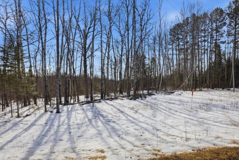 4416 County Road 1 Littlefork MN 56653