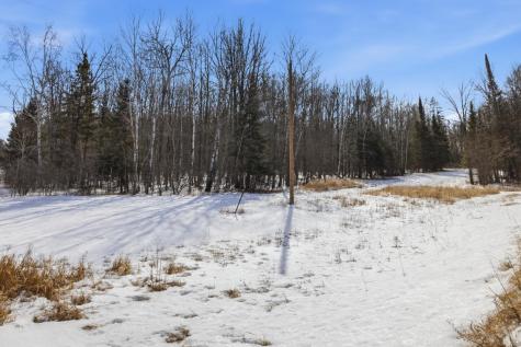 4416 County Road 1 Littlefork MN 56653