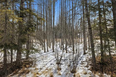4416 County Road 1 Littlefork MN 56653