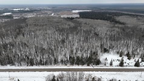 4416 County Road 1 Littlefork MN 56653