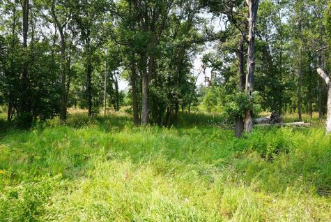 7241 Us Highway 169 Garrison MN 56450