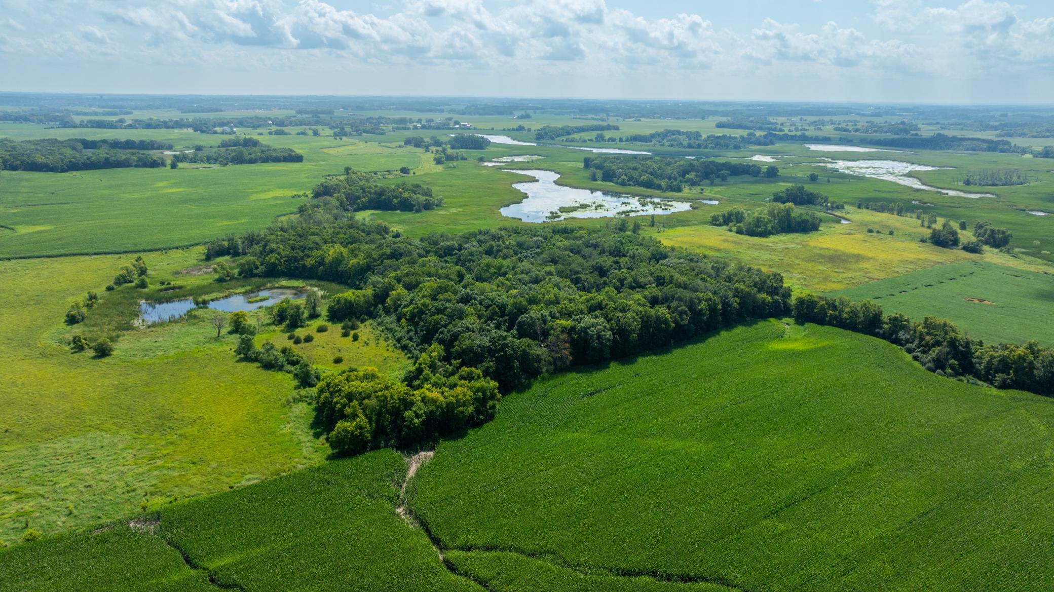 9380 County Road 51 Waconia Twp MN 55322