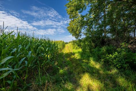 9380 County Road 51 Cologne MN 55322