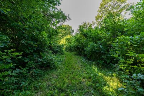 9380 County Road 51 Cologne MN 55322